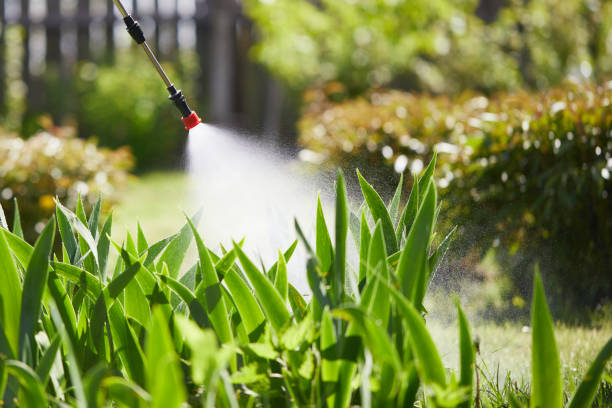 24/7 Emergency Wasp Removal experts in Cherry Hill, VA