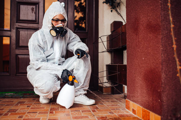 Reliable Wasp Removal contractor in Cherry Hill, VA by Show Me Pest Control